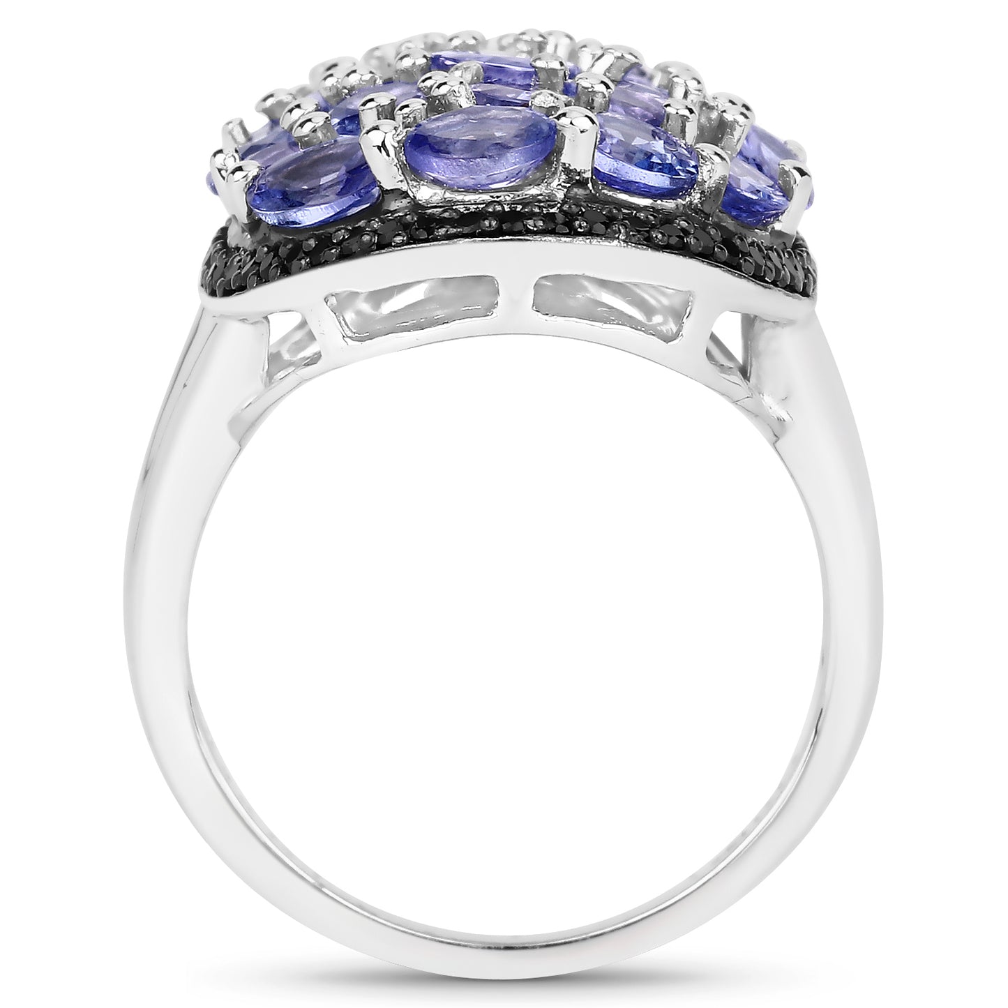 JJF-NYR-R13783TANSP-SSR-12