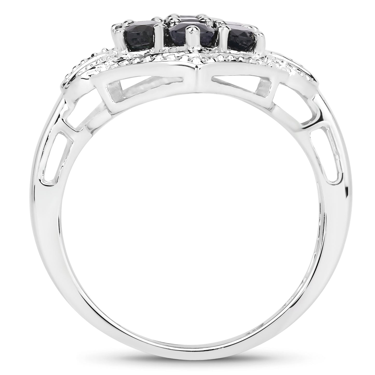 JJF-NYR-R3065BSAPH-SSR-14