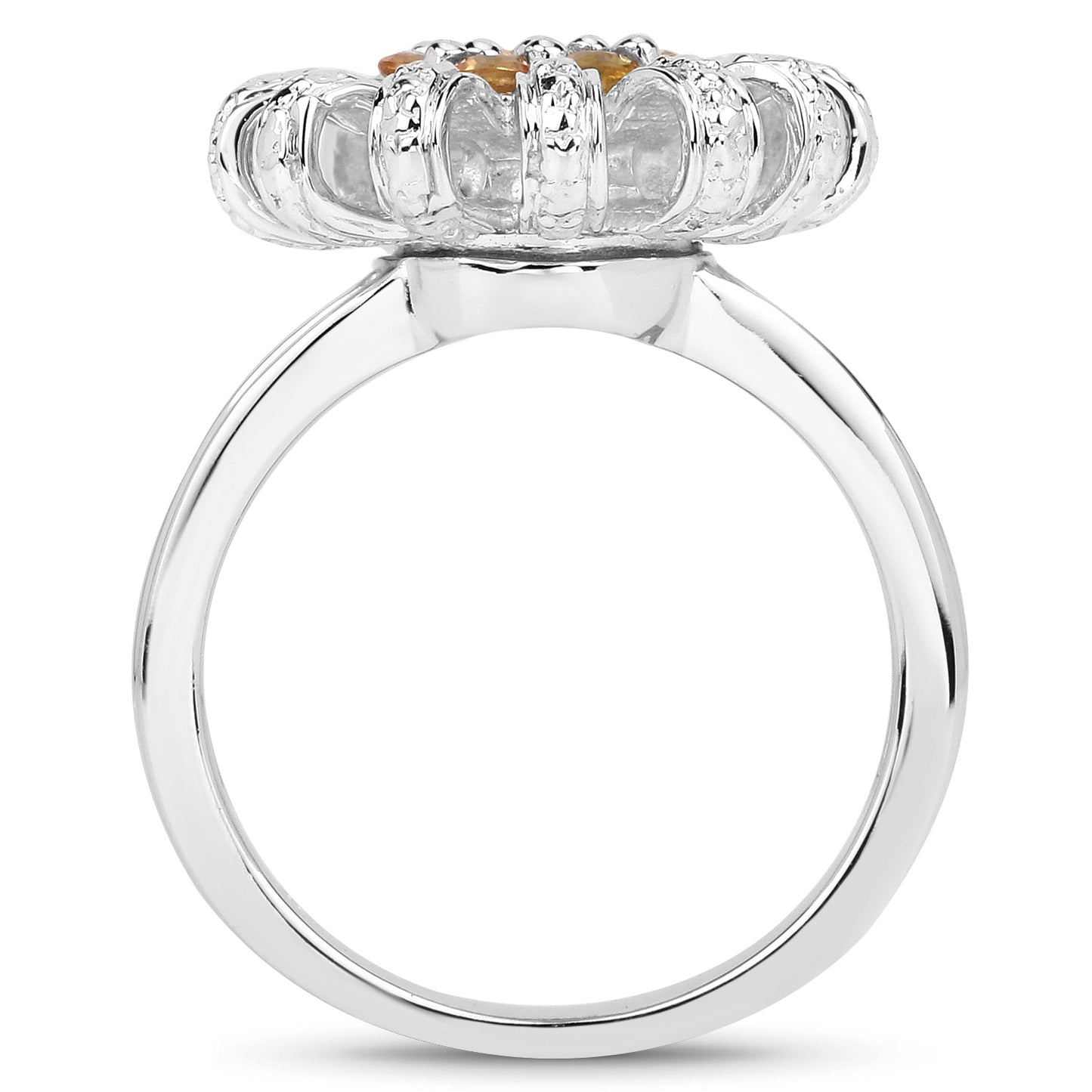 JJF-NYR-R3924YSAPH-SSR-15